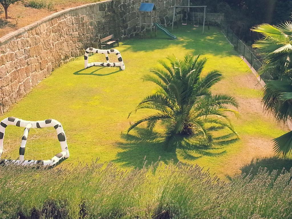 Quinta Das Tilias Douro Valley Cabaca Kültér fotó