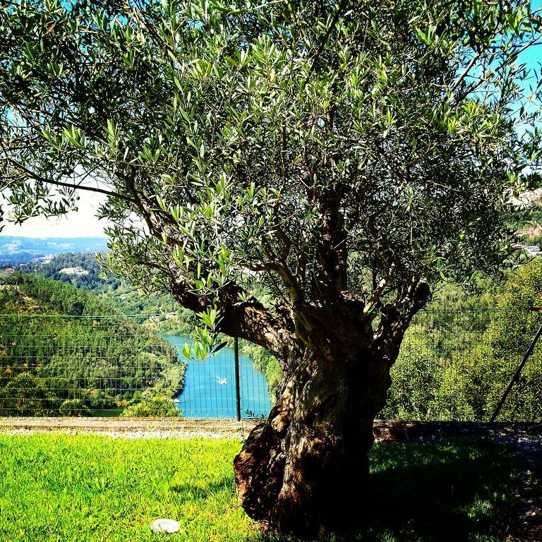 Quinta Das Tilias Douro Valley Cabaca Kültér fotó